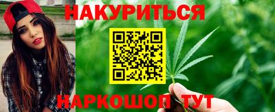 шишки Гудермес