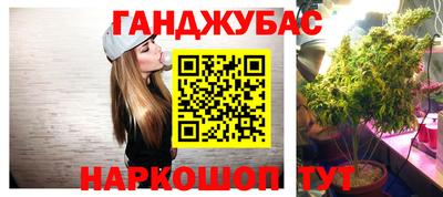шишки Гудермес