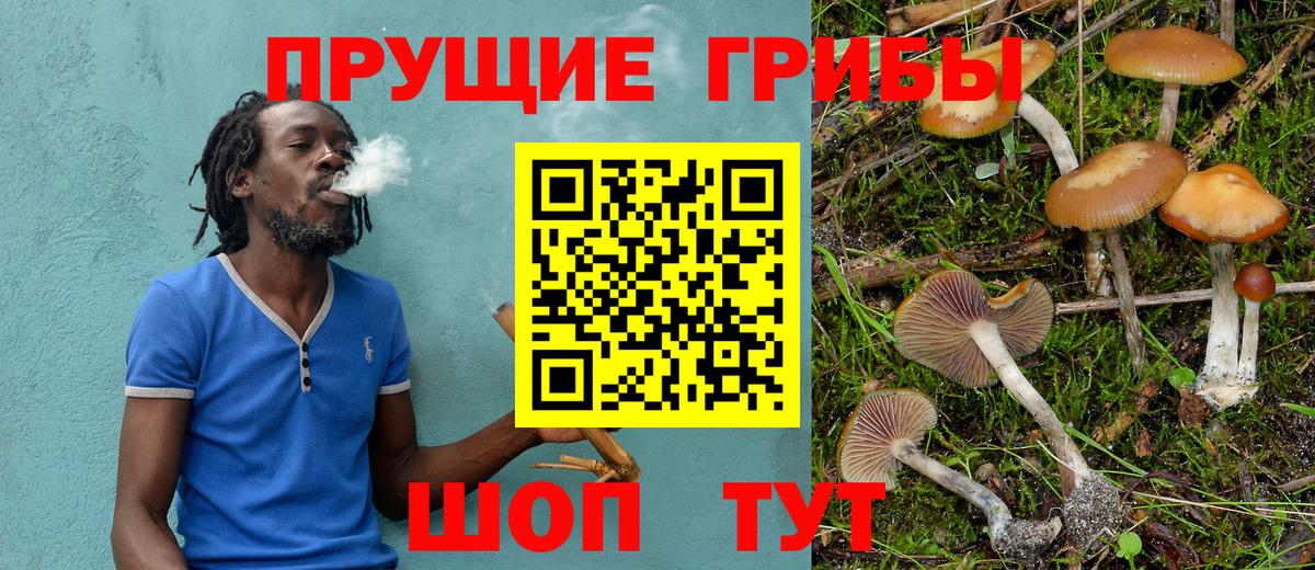 Абакан  Псилоцибиновые грибы GOLDEN TEACHER  Вход с VPN  Псилоцибиновые грибы Magic Shrooms 